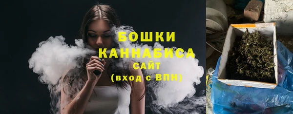 хмурый Гусиноозёрск