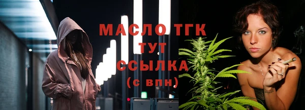 гашик Горняк