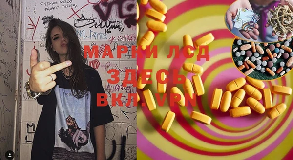 ПСИЛОЦИБИНОВЫЕ ГРИБЫ Вяземский