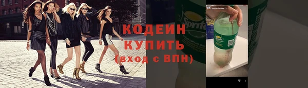 гашик Горняк
