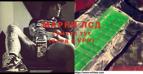 ПСИЛОЦИБИНОВЫЕ ГРИБЫ Вяземский