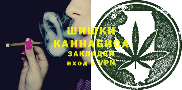 амф Горнозаводск