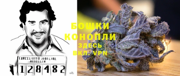 гашик Горняк
