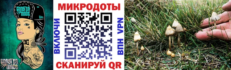 Галлюциногенные грибы MAGIC MUSHROOMS  Дагестанские Огни 