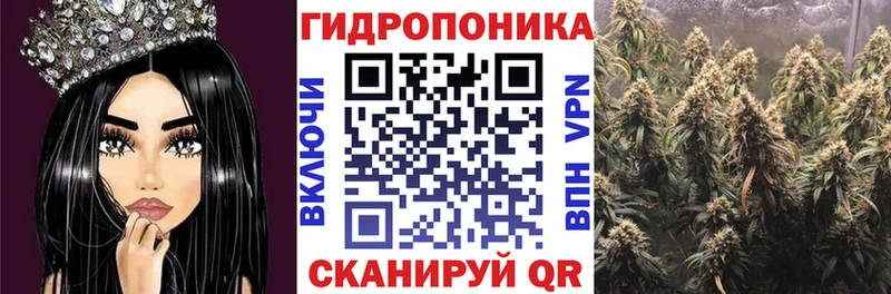 Бошки Шишки марихуана  магазин    Дагестанские Огни 